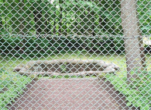 Восьмигранный колодец за забором, Гатчина, трасса М20