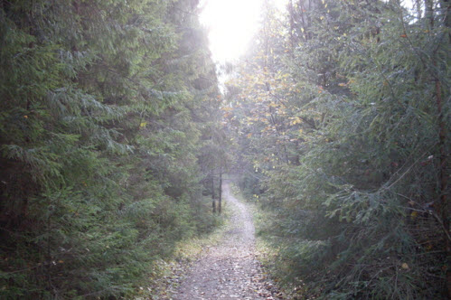 Тропинка в Токсовском лесопарке, достопримечательности трассы Р-33