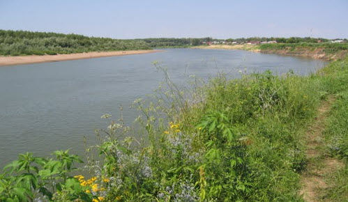Вид на реку Урал с трассы Р335, возле Илека