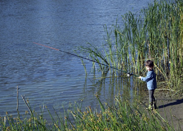  сын ловит рыбу