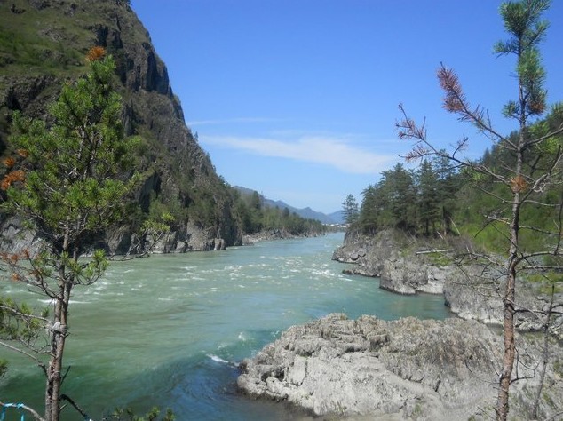  слияние рек Чемал и Катунь на алтае