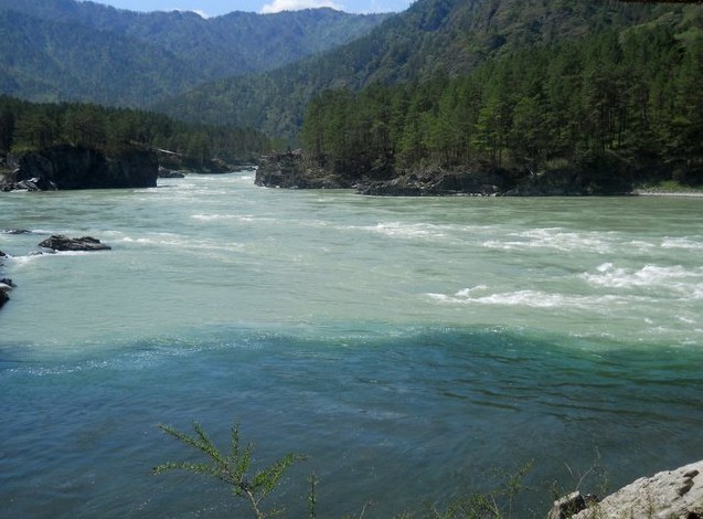  слияние рек Чемал и Катунь на алтае 2015