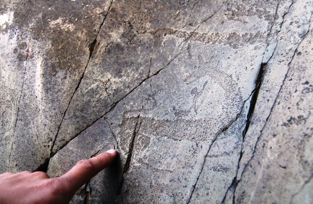 рисунки эпохи неолита и раннего железа на алтае