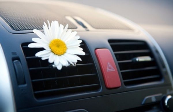 10 важных советов по уходу за автомобилем летом