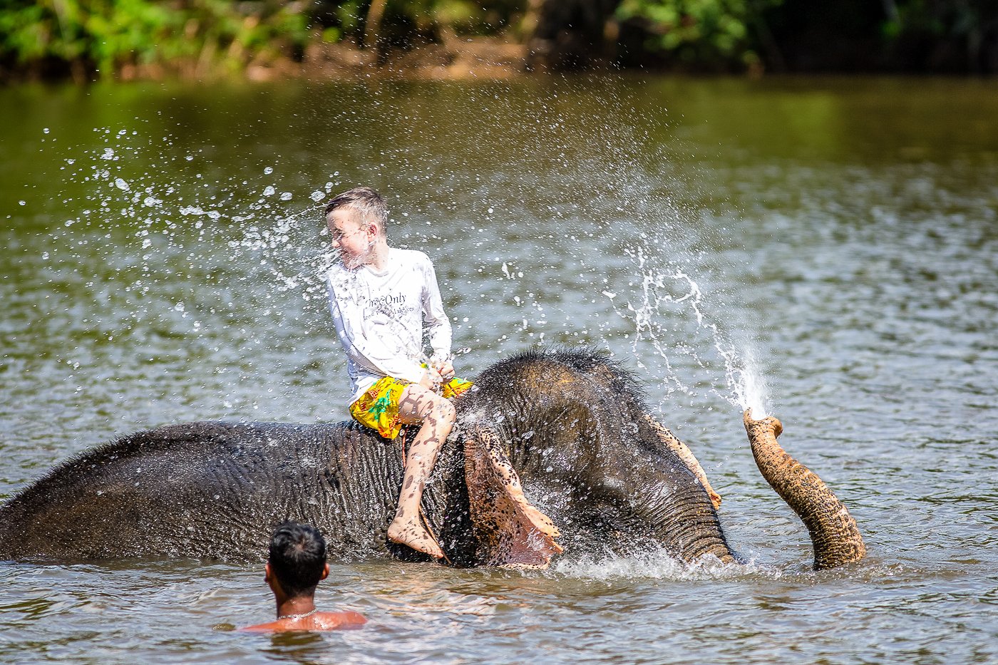 Нравится купаться. Тайланд купание со слонами. Купание слонят. Пхукет купание со слонятами. Купание слонов на Пхукете.