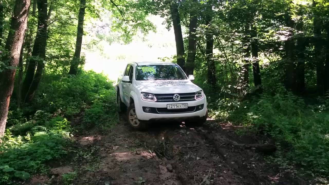 Как правильно парковаться в лесу без штрафа